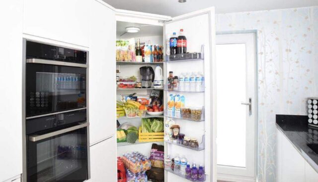 最新】600L容量の冷蔵庫おすすめランキング14選｜鮮度長持ち、省エネ 