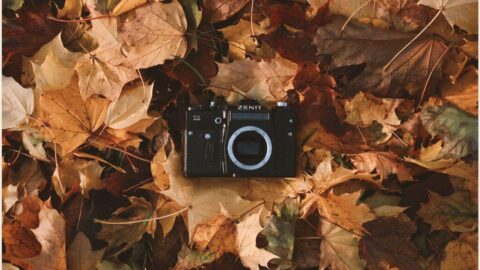 落ち葉の上のカメラ