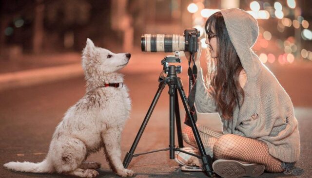 犬を撮影する女の子