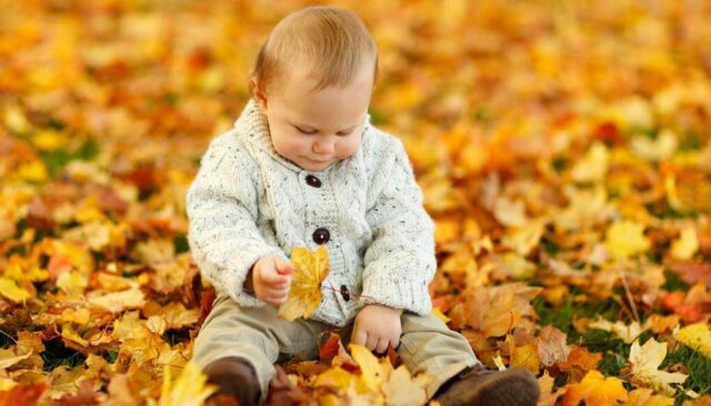 秋の落ち葉で遊ぶ赤ちゃん