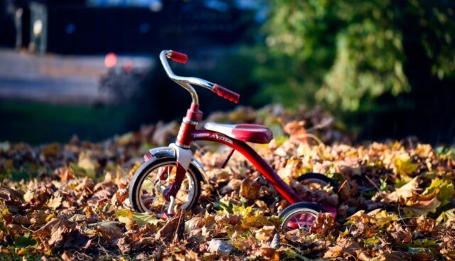森に赤の自転車