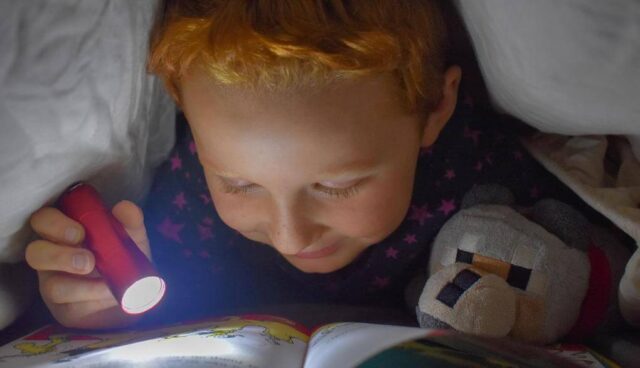 夜中に懐中電灯で本を読む
