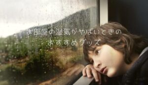 雨が降っているのを窓越しに眺めている子供