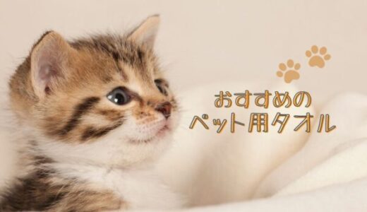 【超吸収】ペット用タオルおすすめ人気ランキング9選！